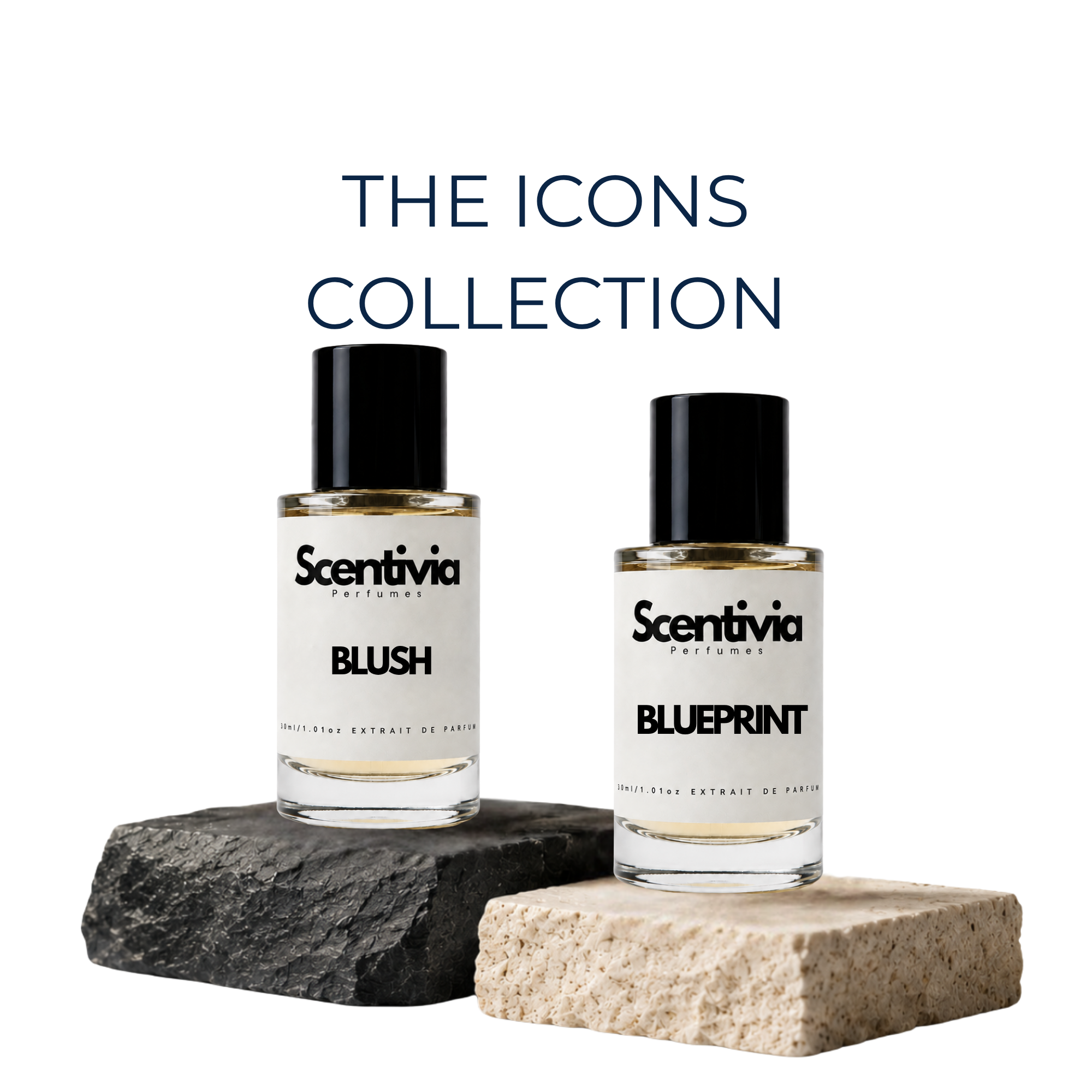 The Icons | Scentivia Perfumes