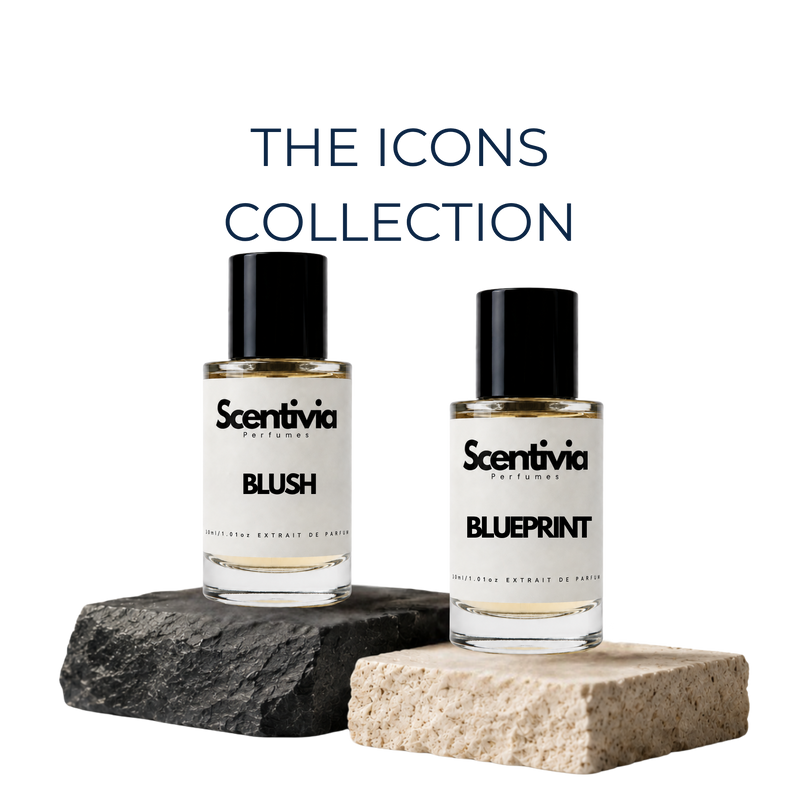 The Icons | Scentivia Perfumes