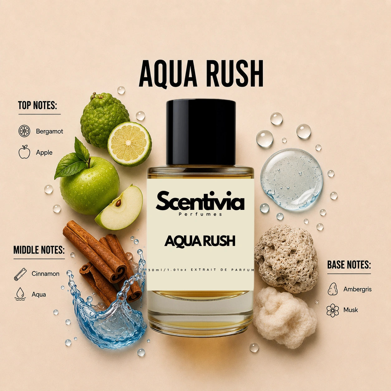 Scentivia Aqua Rush perfume breakdown showing top, middle, and base notes including bergamot, apple, cinnamon, aqua, ambergris, and musk around the bottle.