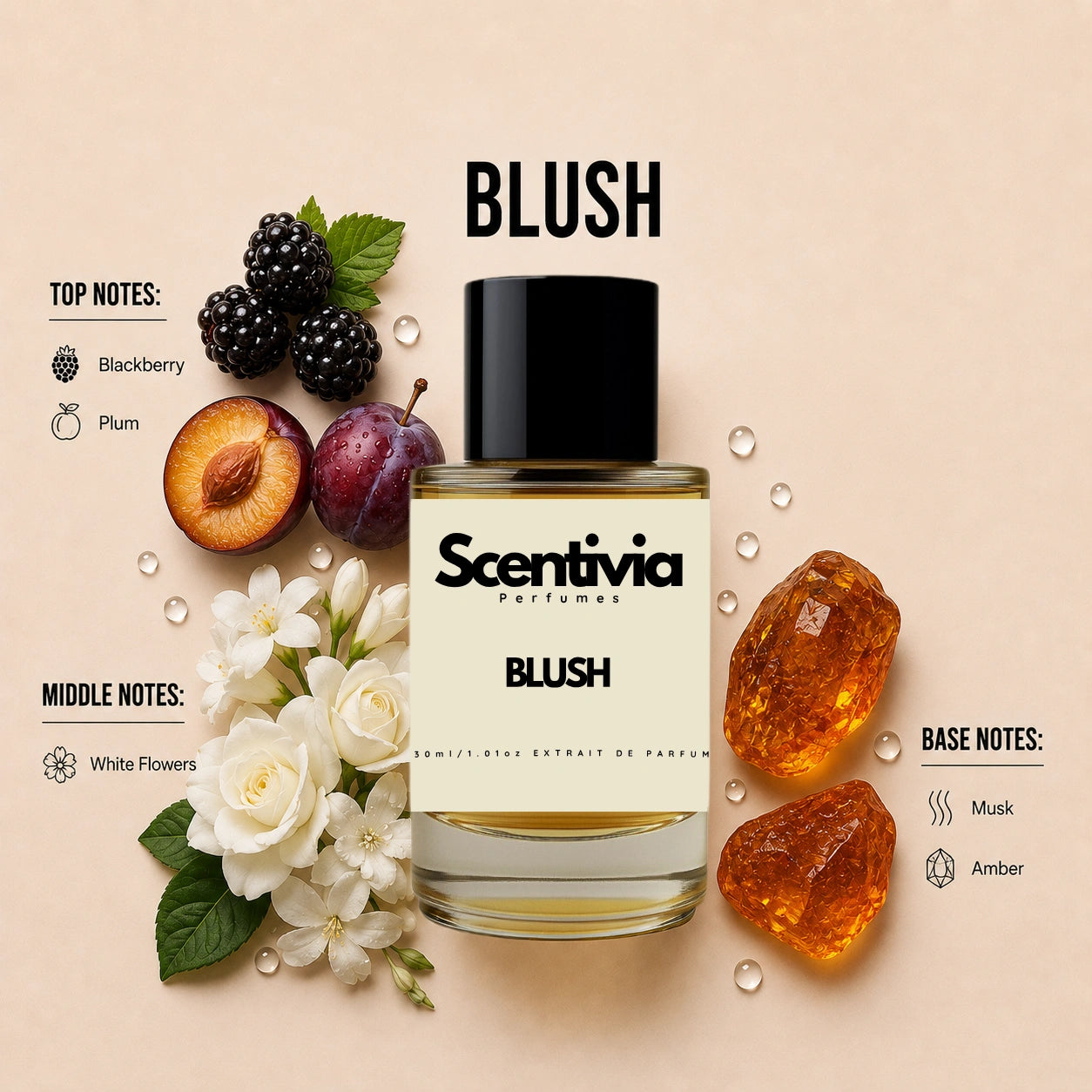 Scentivia Blush perfume breakdown showing top, middle, and base notes including blackberry, plum, and amber stones around the bottle.