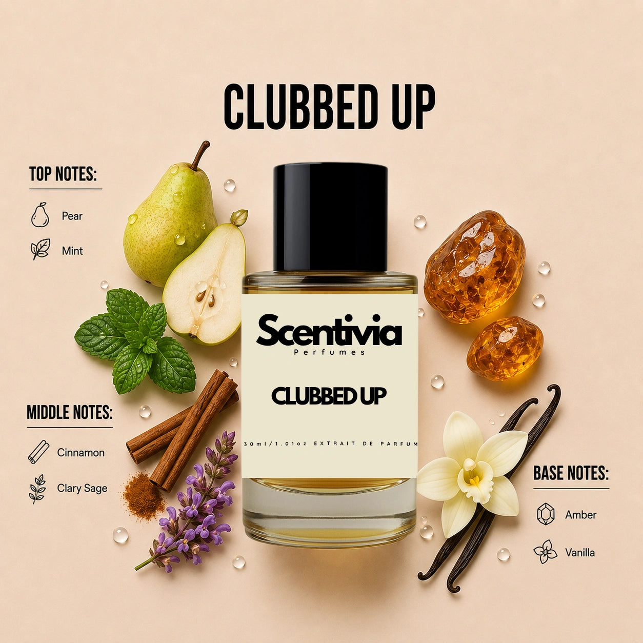 Scentivia Clubbed Up perfume breakdown showing top, middle, and base notes including pear, mint, cinnamon, clary sage, amber, and vanilla around the bottle.