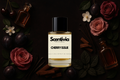 Scentivia Cherry Issue perfume bottle surrounded by dark cherries, ripe plums, red roses, vanilla pods, and cinnamon sticks on a dark background.