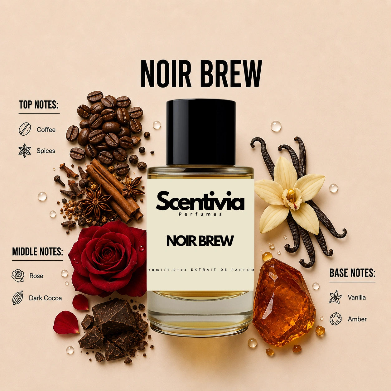Scentivia Noir Brew perfume breakdown showing top, middle, and base notes including coffee, spices, rose, dark cocoa, vanilla, and amber around the bottle.