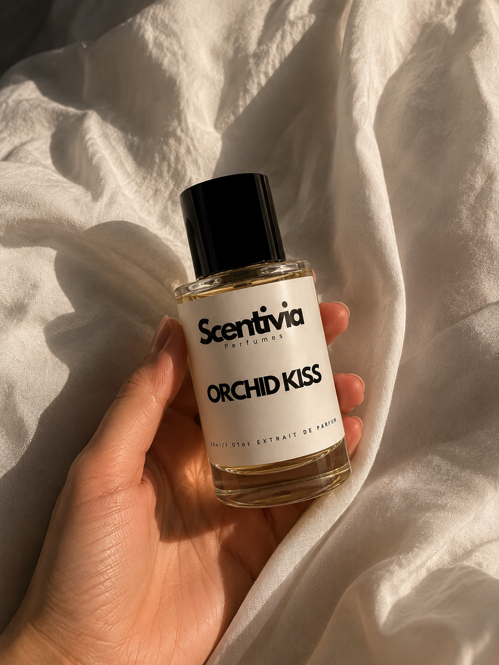 Orchid Kiss