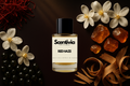 Scentivia Red Haze perfume bottle arranged flat on a dark brown background surrounded by red saffron strands, small dark glossy berries, white blossoms, golden amber pieces, and wood shavings.