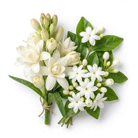 Jasmine, Tuberose