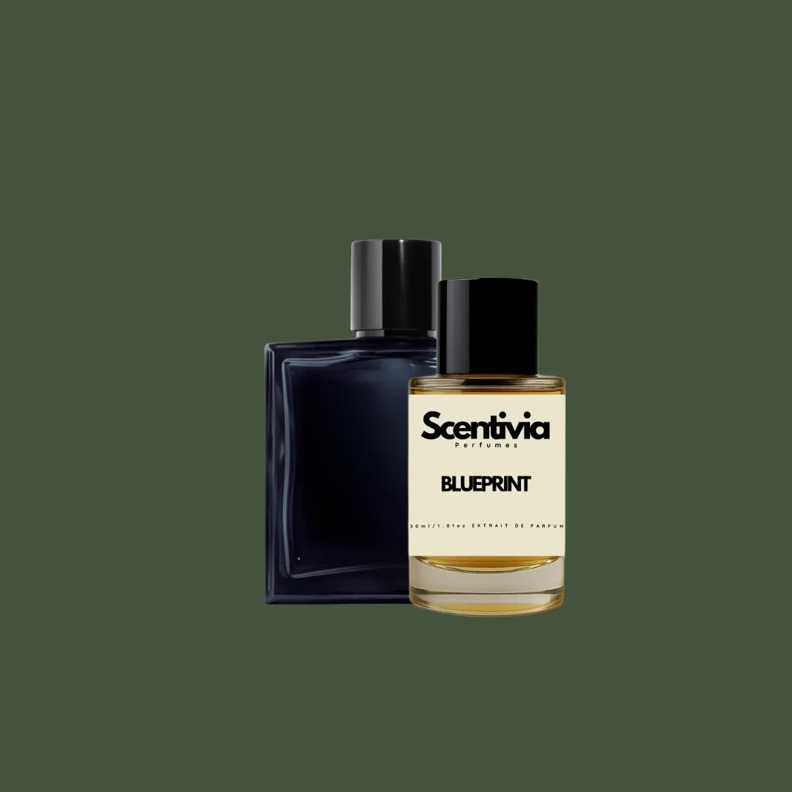 Scentivia Blueprint perfume bottle paired alongside a luxury dark navy or black square glass bottle with a black cap on a solid dark olive green background.