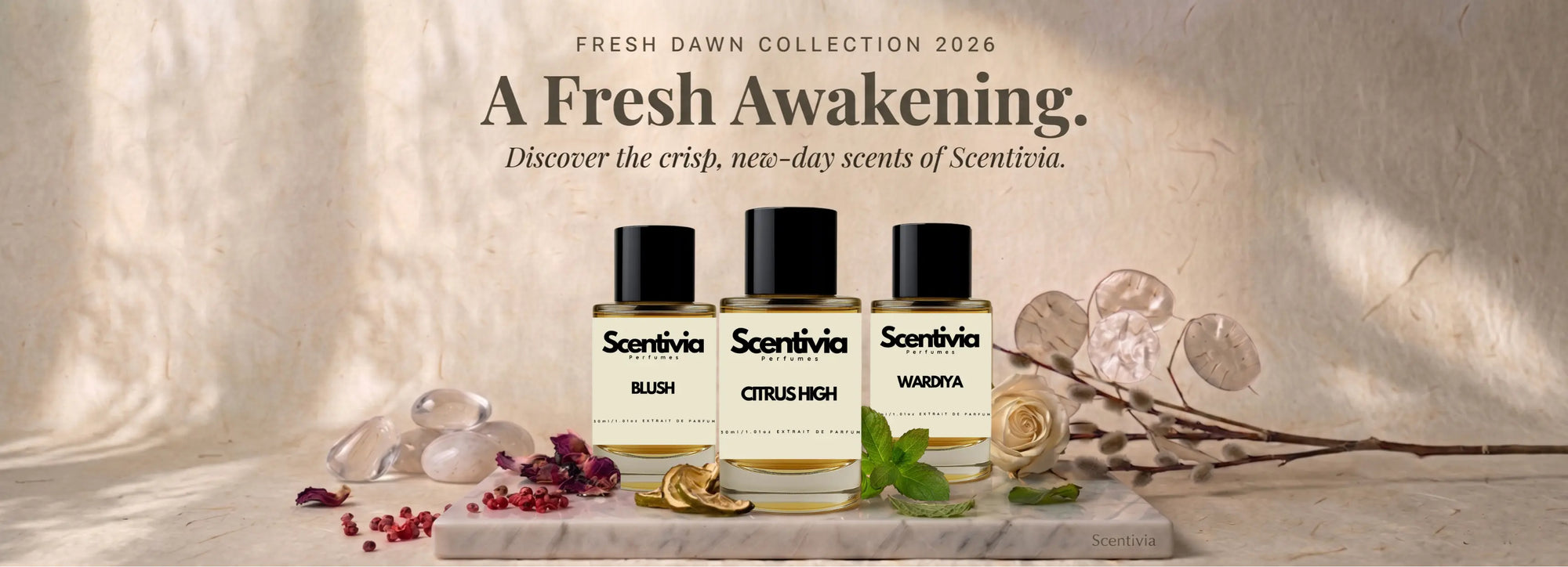 Scentivia Perfumes Fresh Dawn Collection 2026 homepage banner titled "A Fresh Awakening," showcasing Blush, Citrus High, and Wardiya fragrance bottles on a marble slab with natural botanicals.