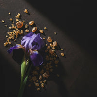 Iris, Ambrox