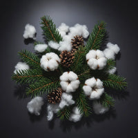 Musk, Pine