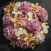 Peony, Vanilla Orchid