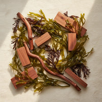 Rosewood, Seaweed