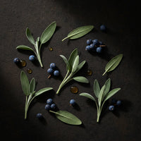   Sage, Juniper