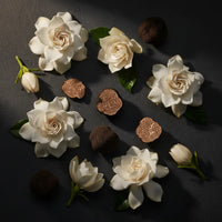 Truffle, Gardenia