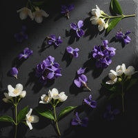 Violet, Jasmine
